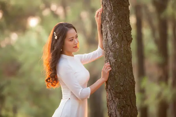 Vietnamese girl wearing a traditional long dress (ao dai) on the pine forest of Chung Mountain, Nam Dan, Nghe An