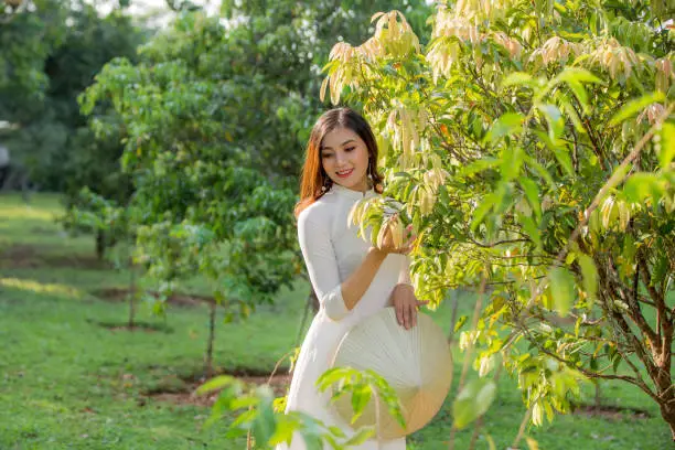 Vietnamese girl wearing a white Ao Dai and holding a conical hat at Hoang Tru, Kim Lien, Nam Dan. The Ao dai ( long-dress Vietnamese) is traditional costume of Vietnamese woman
