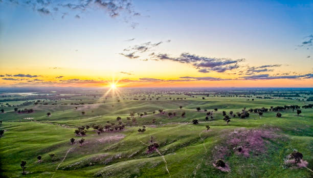 Heathcote aerial sunset Drone photography of Heathcote Central Victoria at sunset lavender-garden stock pictures, royalty-free photos & images