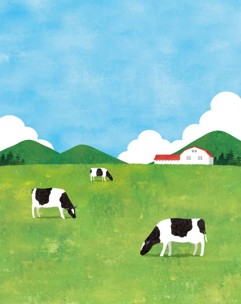 akwarela z widokiem na farmę - dairy product illustrations stock illustrations