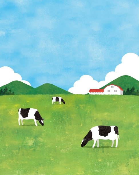 Farm view watercolor Farm view watercolor cattle illustrations stock illustrations