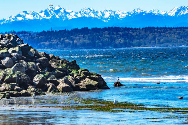 istock Olympic Mountains Bracketts Landing North Beach Park Edmonds Washington 1219840067