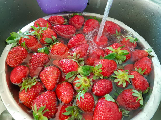 erdbeeren in einer schüssel frisch rot reifen helthy waschen - washing fruit preparing food strawberry stock-fotos und bilder