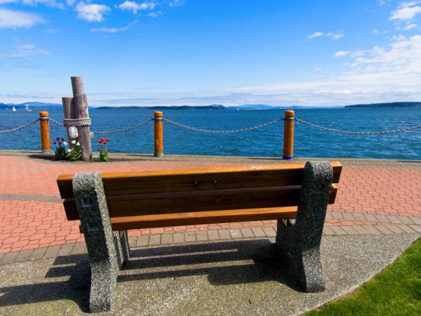 istock seaside walk alone the shoreline of Sidney BC 1219842342