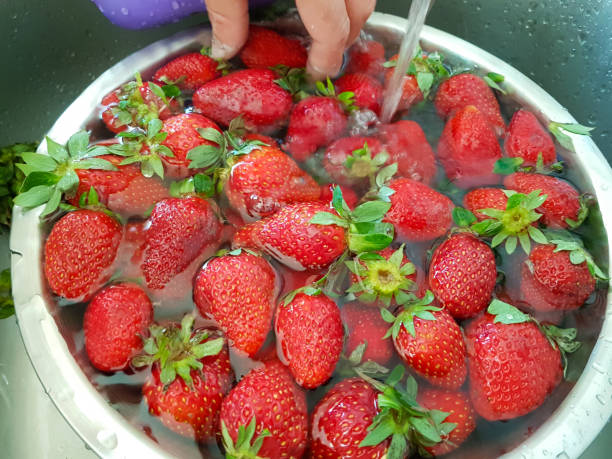 erdbeeren in einer schüssel frisch rot reifen helthy waschen - washing fruit preparing food strawberry stock-fotos und bilder