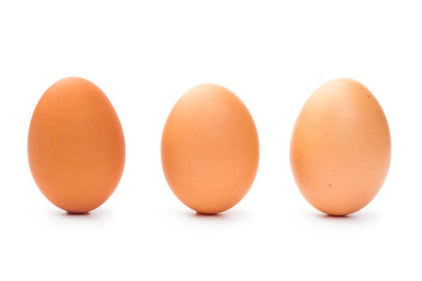 istock three farm brown chicken eggs on a white background 1219847844