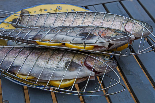 istock three fresh trouts from a local fish hatchery ready to grill 1219852013