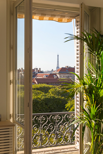 View from the window of the Eiffel Tower in Paris.