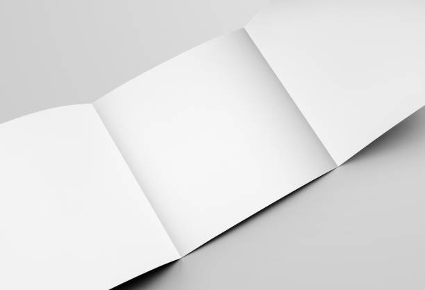 istock Trifold square page template, standard size open business brochure, for design presentation. 1219857626