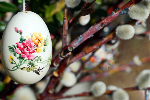 Bavaria, Germany. Easter customs - Hand painted egg and Catkins (Salix caprea) as background.