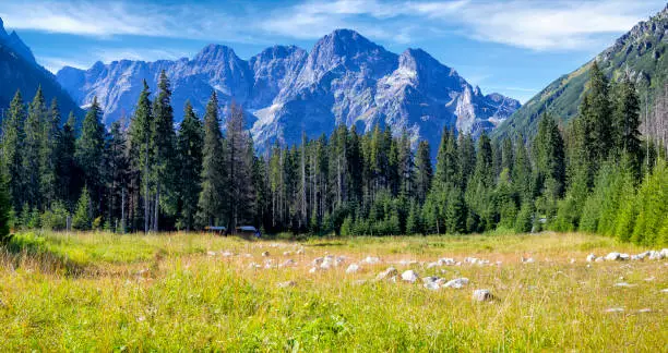 Holidays in Poland  - Wlosienica glade in the High Tatras