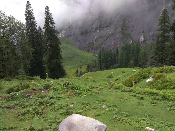 istock Himalaya Images with mountains and trees 1219860785