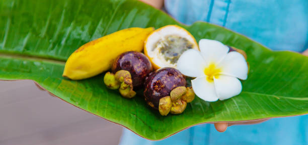 istock Child in hands with exotic fruits. Selective focus. 1219860953