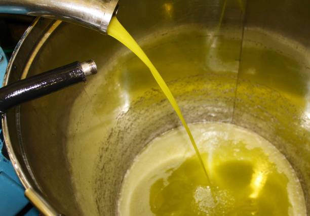 istock Extra virgin olive oil extraction in Greece 1219863541