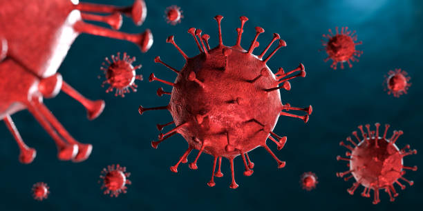 istock 3D illustration Coronavirus COVID-19 virus under microscope in blood sample 1219863810