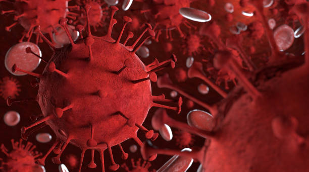 istock 3D illustration Coronavirus COVID-19 virus under microscope in blood sample 1219863846