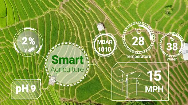 istock Smart digital agriculture technology by futuristic sensor data collection 1219863848