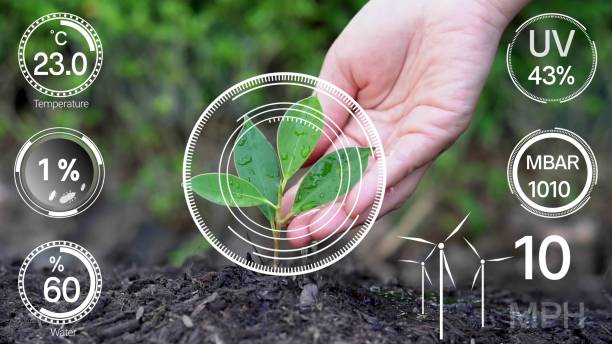 istock Smart digital agriculture technology by futuristic sensor data collection 1219863889