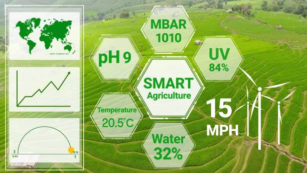 istock Smart digital agriculture technology by futuristic sensor data collection 1219863891