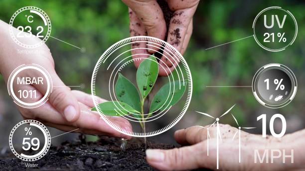 istock Smart digital agriculture technology by futuristic sensor data collection 1219863916