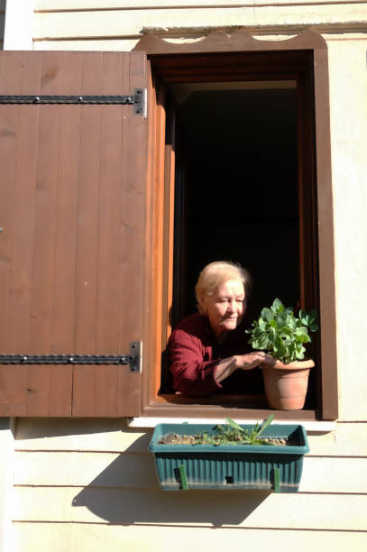istock Grandma watering Window sill flowers 1219864039