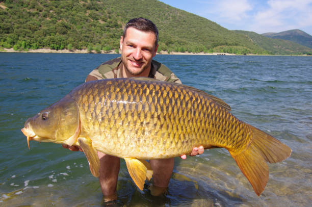 istock Carp fishing. Catch of fish 1219865752