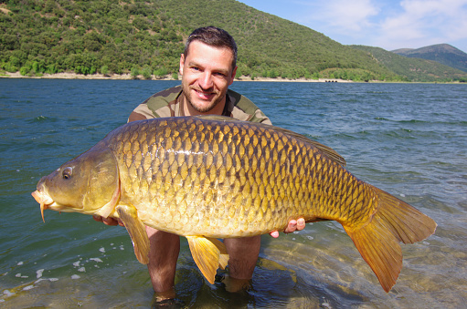 lucky fisherman holding a big common carp. Freshwater fishing