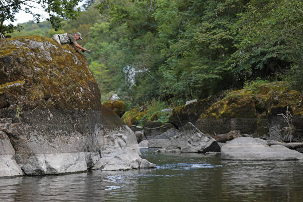 istock fly fishing scene. Catch of fish 1219866194