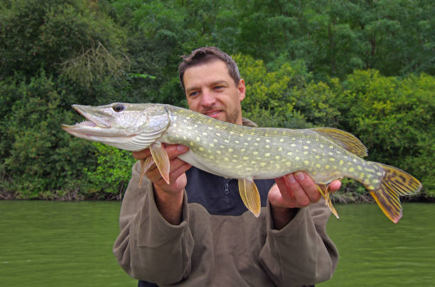 istock Pike fishing. Catch of fish 1219866925