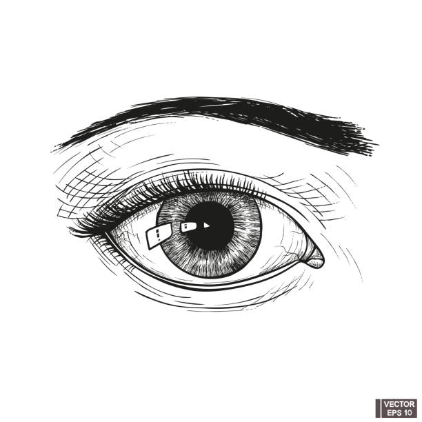 istock Sketch engraving style. Hand-drawn vintage female eye. 1219866933