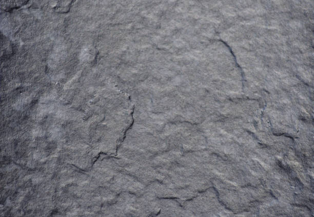 istock Black marble with white impregnations, smooth polished surface. Close up shot. 1219870866