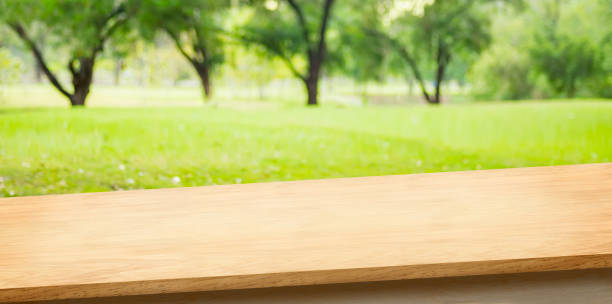 tropikalne wiosenne tło. pusty ukośny drewniany stół z rozmyciem drzewa w parku boekh tle, banner makiety szablon do wyświetlania produktu - bench park bench park wood zdjęcia i obrazy z banku zdjęć
