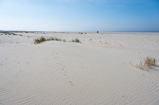 Sylt, view from red cliff (rotes Kliff) near Kampen and Wenningstedt Braderup