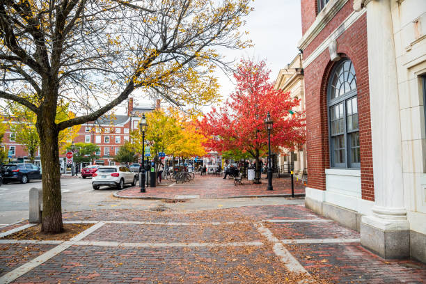 people enjoying a warm autumn afternoon in a small brick square lined with colourful trees in downtown portsmouth, nh. - street furniture traffic lighting equipment urban scene imagens e fotografias de stock