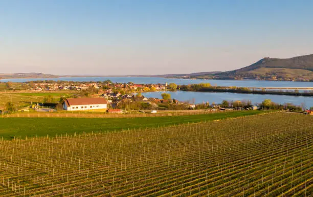 Panoramic aerial view of Palava hills, czech republic. Vineyard land near water reservoir Nove mlyny. Concept of agriculture and wine production. Summer weather, vibrant colors at sunset time.
