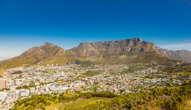 istock view of Table Mountain from Signal Hill in Cape Town 1219873672