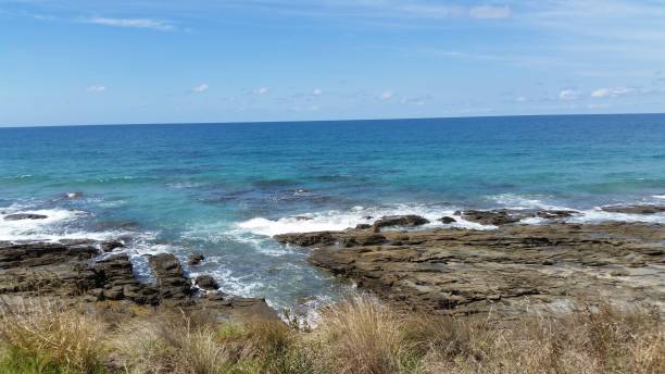 istock Grass and sea at Great Ocean Road 1219874318