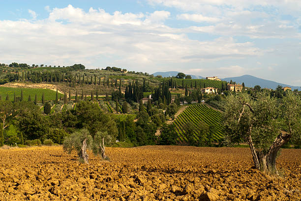 paisaje de san antimo (siena, toscana, italia - abbazia di santantimo fotografías e imágenes de stock