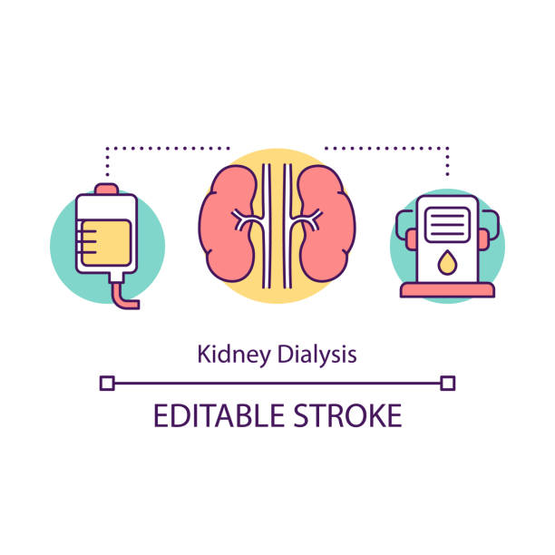 Kidney dialysis concept icon. Haemodialysis. Medical treatment. Artificial kidney machine. Filtering blood. Bioengineering idea thin line illustration. Vector isolated outline drawing. Editable stroke Kidney dialysis concept icon. Haemodialysis. Medical treatment. Artificial kidney machine. Filtering blood. Bioengineering idea thin line illustration. Vector isolated outline drawing. Editable stroke dialysis stock illustrations