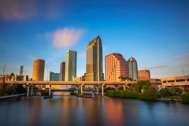 Tampa - Banco de fotos e imágenes de stock - iStock Tampa - Banco de fotos e imágenes de stock - iStock