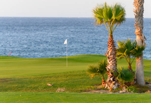 istock View on evergreen grass field on large golf course and blue Atlantic ocean on Tenerife island, Canary, Spain 1219876005