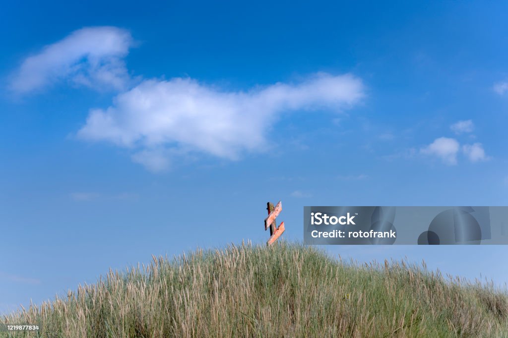 Germany, beach oats on juist. Germany, beach oats on Juist. East Frisia Stock Photo