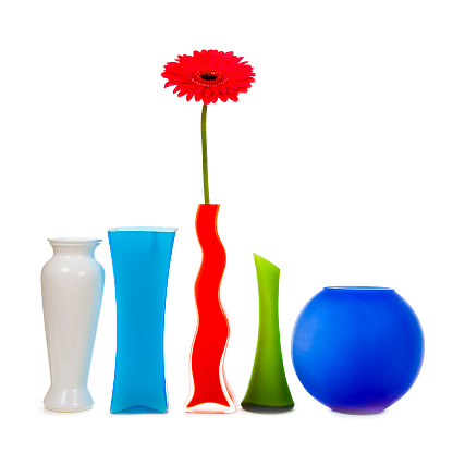 Red gerbera and five vases isolated on a white background.
