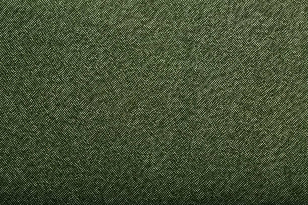 istock Green skin texture close up as background. In full screen. 1219880595