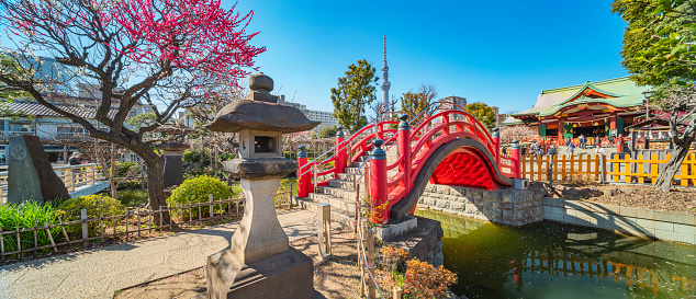 tokyo, japan - march 08 2020: Panorama of japanese stone lantern and red Taiko arch bridge overhung by a blooming pink plum tree in Kameido Tenjin Shrine with the Tokyo Skytree tower in the background.