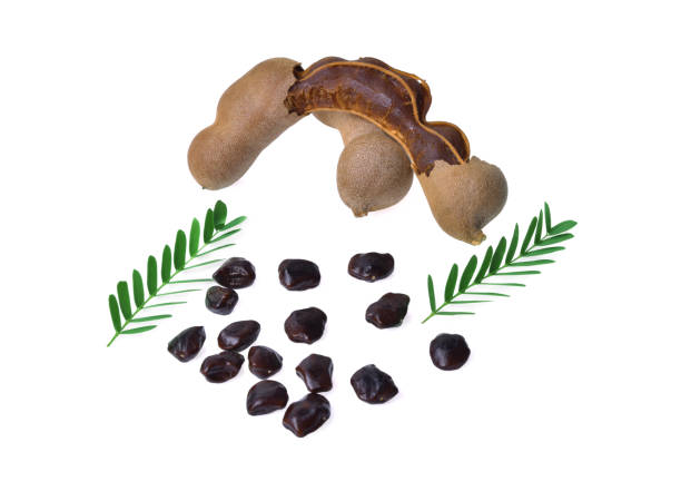 istock tamarind isolated on white background 1219881194