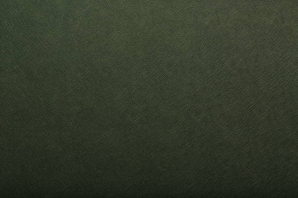 istock Green skin texture close up as background. In full screen. 1219881306