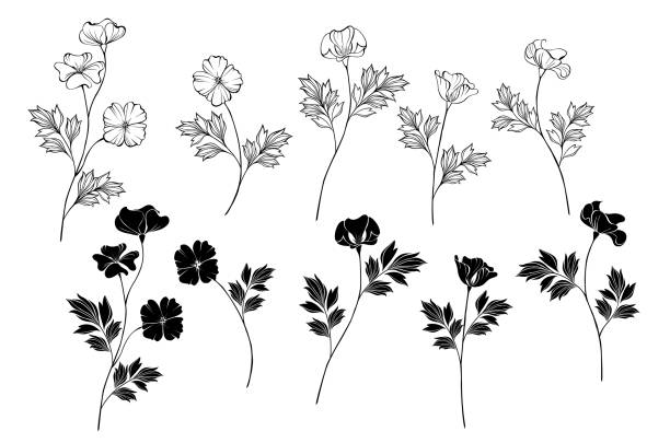 モノクロ カリフォルニア ポピー - poppy flower field floral pattern点のイラスト素材／クリップアート素材／マンガ素材／アイコン素材