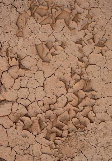 istock Textured background of cracked dry brown earth. 1219882980