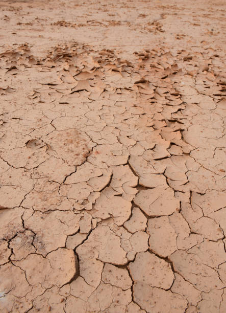 istock Textured background of cracked dry brown earth. 1219882982